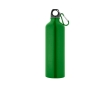 Large coloured aluminium bottle with carabiner 800ml colour light-green