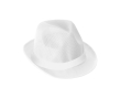 Plastic hat in various colours with included band colour white