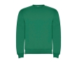 Children’s cotton and polyester jersey sweater, 280 g/m², Roly  colour green