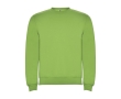 Children’s cotton and polyester jersey sweater, 280 g/m², Roly colour lime