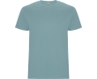 Children’s 100% cotton jersey t-shirt, 190 g/m², Roly colour aquamarine