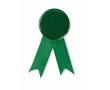 Honour brooch made of metal with a metal clip colour green