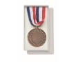 Medal made of iron in the 3 colors blue, white, and red colour brown