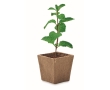 Square biodegradable plant pot with mint seeds, made in the EU colour beige