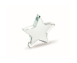 Branded star-shaped glass trophy colour transparent