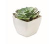 Mini artificial plant in PP in the shape of an echeveria succulent colour white