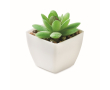 Mini artificial PP plant in decorative succulent style colour white