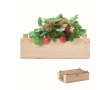Small strawberry growing kit with box and soil for home use colour wood