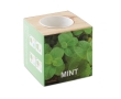 Mint seed flower pot for the home or office colour wood