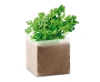 Parsley seed bags, for sustainable corporate promotions colour beige