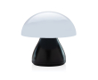 Portable table lamp with touch function and two light modes colour black
