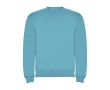 Unisex cotton and polyester jersey sweater, 280 g/m², Roly colour turquoise