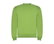 Unisex cotton and polyester jersey sweater, 280 g/m², Roly colour lime