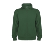 Unisex cotton and polyester hoodie, 280 g/m², Roly colour bottle green