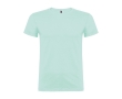 Men’s 100% cotton jersey t-shirt, 155 g/m², Roly Beagle colour mint green