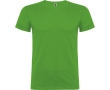 Men’s 100% cotton jersey t-shirt, 155 g/m², Roly Beagle colour grass green
