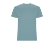 Men’s 100% cotton jersey t-shirt, 190 g/m², Roly colour aquamarine