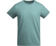 Men’s organic cotton jersey t-shirt, 175 g/m², Roly colour aquamarine