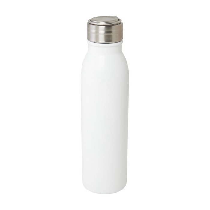 Recycled stainless steel leak-proof bottle with handle, 700 ml