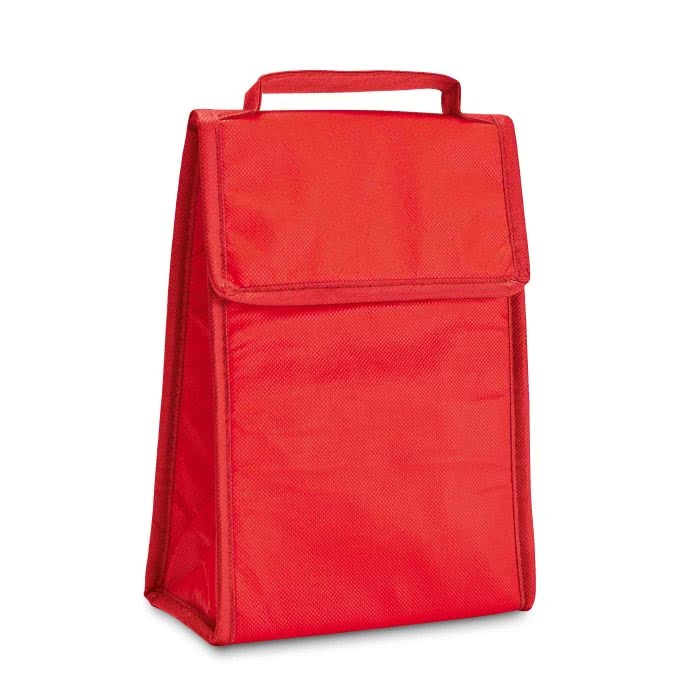 Foldable cooler bag non-woven fabric, 80 g/m2, Break