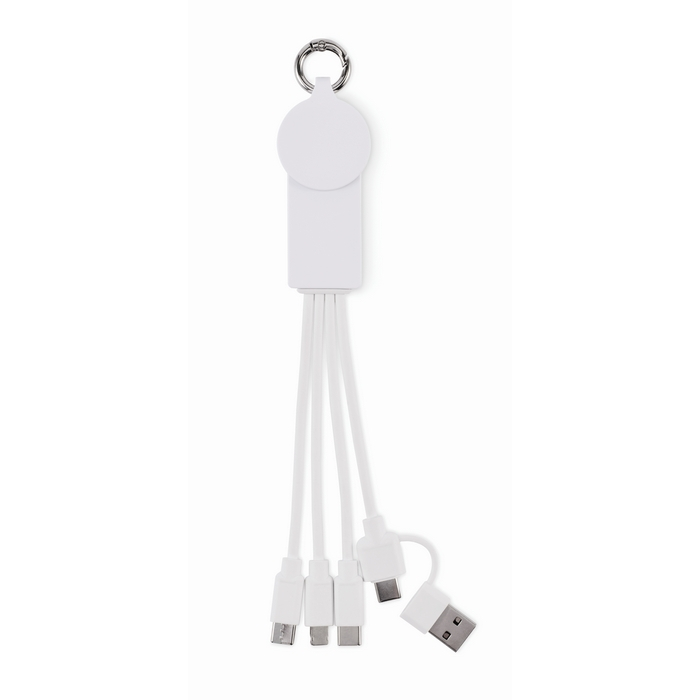 Keyring, multiple charging cables, assorted connectors