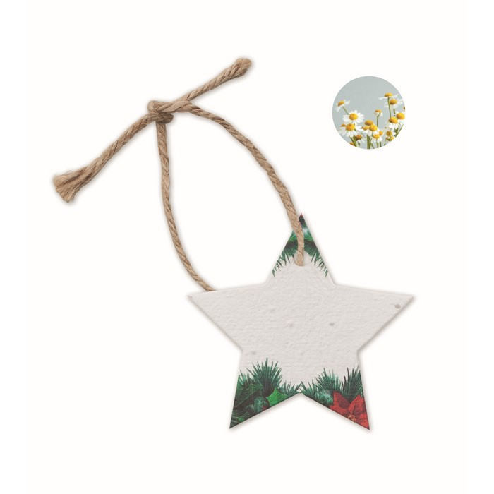 Star-shaped decoration, made of wildflower seed paper