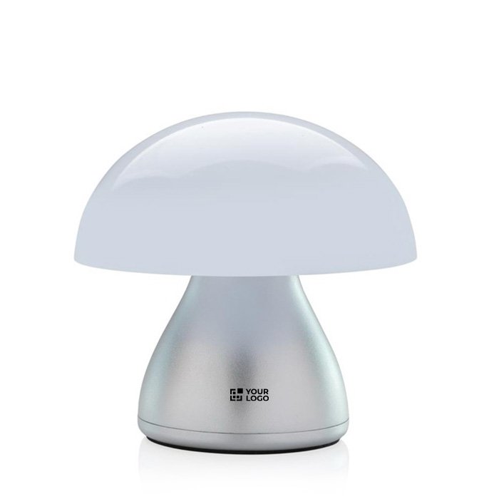 Portable table lamp with touch function and two light modes