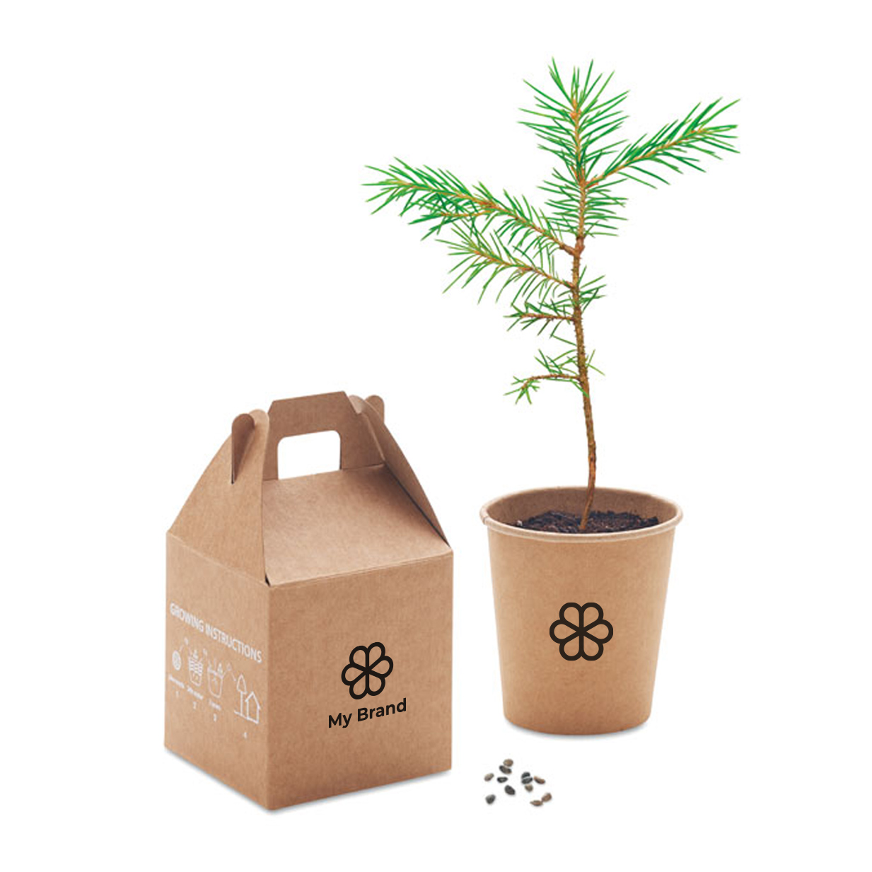 Flower pot with pine seeds as a sustainable promotional gift
